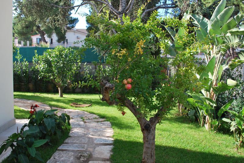 No Tag Urban Hotel Trani Exterior photo